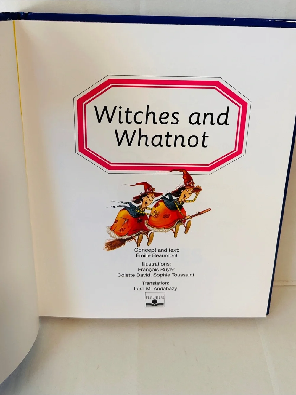 Witches and Whatnot Kids Book - Halloween
